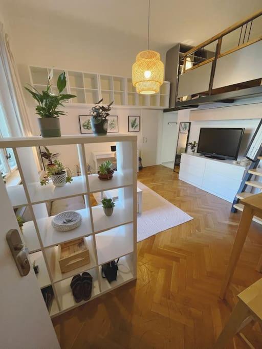 Stefanka Apartment Old Town Bratislava Eksteriør billede